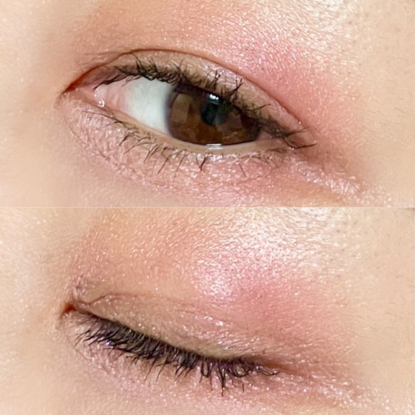 クリエイティブコンシーラーe/IPSA/パレットコンシーラーを使ったクチコミ(3枚目)