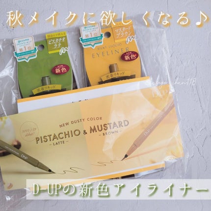 シルキーリキッドアイライナーWP/D-UP/リキッドアイライナーを使ったクチコミ(1枚目)