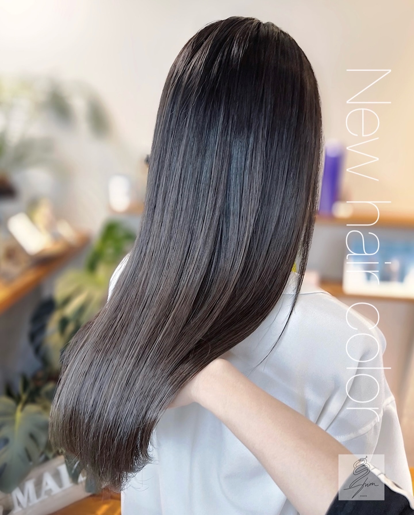 モロッカンオイル トリートメント/モロッカンオイル/ヘアオイルを使ったクチコミ（1枚目）