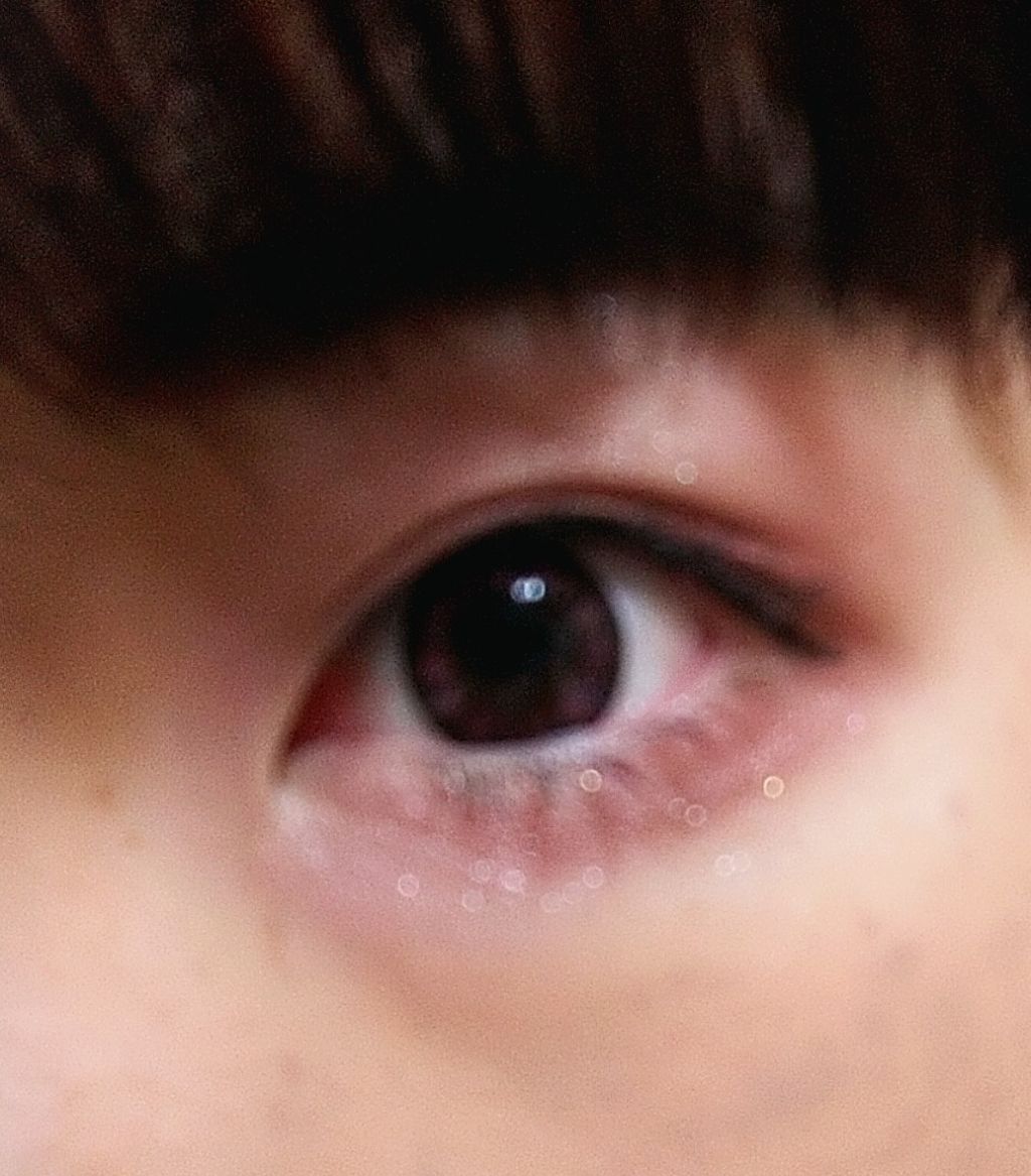 アイラッシュ /DAISO/つけまつげを使ったクチコミ（2枚目）