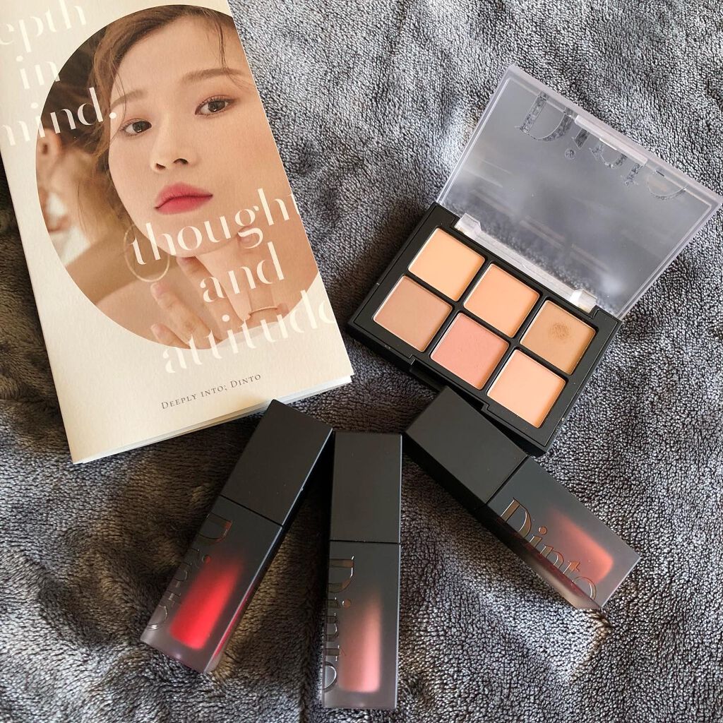 ブラーフィニシュシャドウパレット/Dinto/アイシャドウパレットを使ったクチコミ（2枚目）