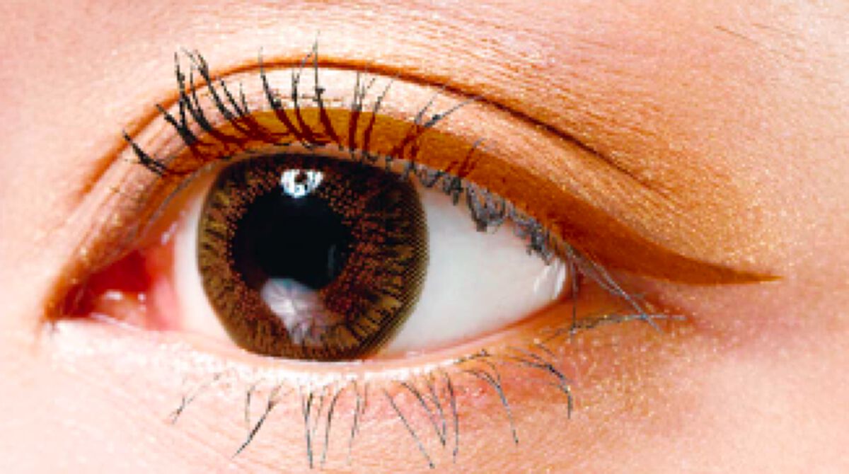 エグザジェレート ラスティングリキッドアイライナー WP 110（限定）