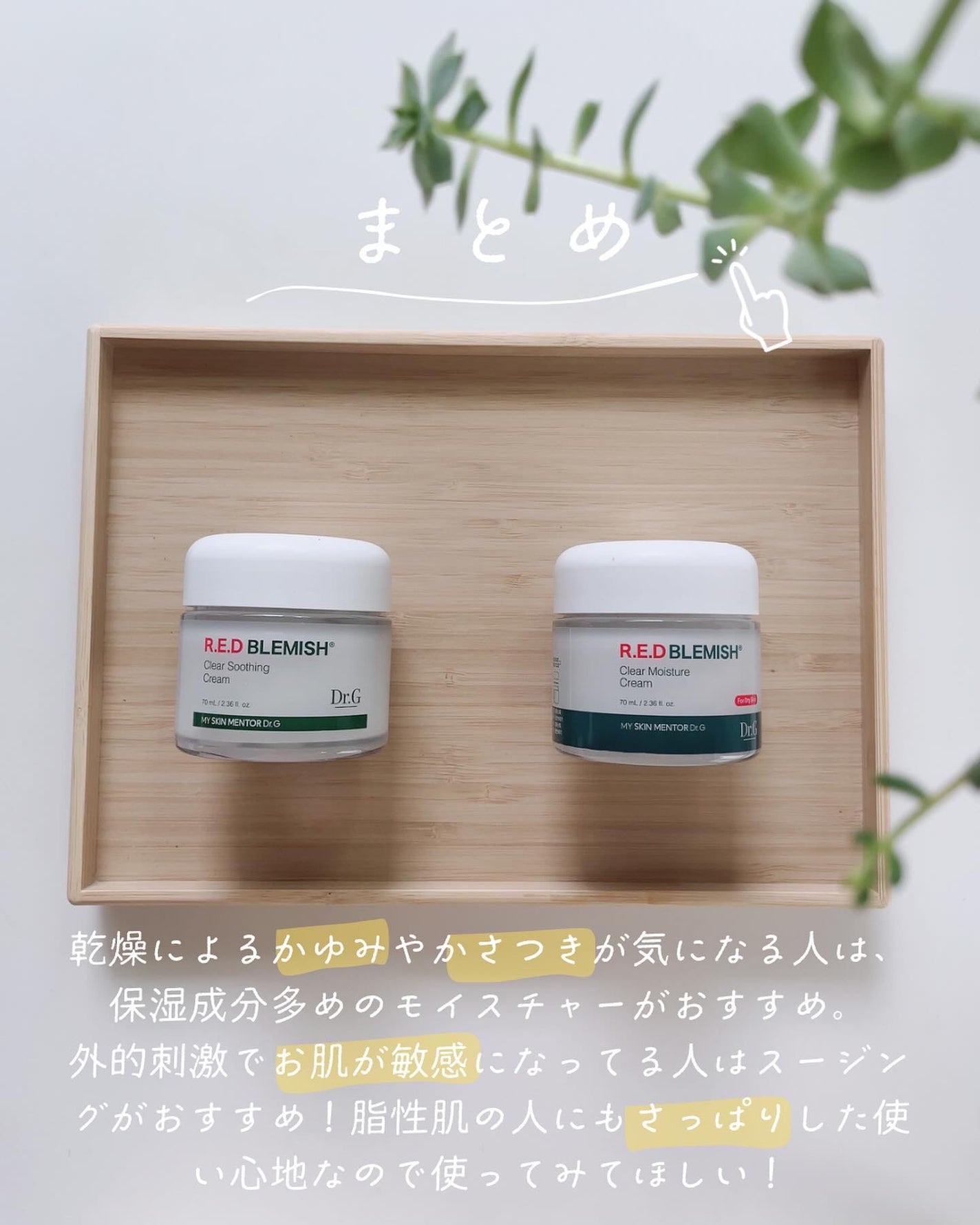 レッドブレミッシュ クリアスージングクリーム/Dr.G/フェイスクリームを使ったクチコミ(9枚目)