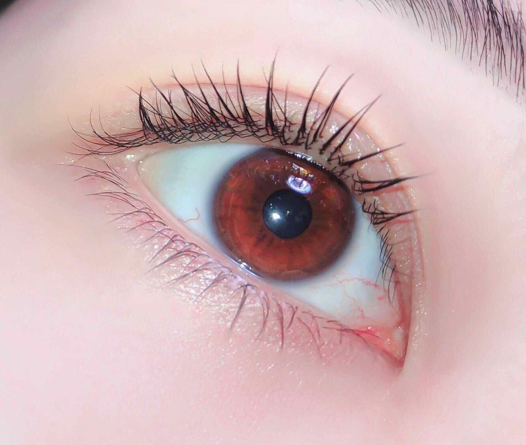 クイックラッシュカーラー/キャンメイク/マスカラ下地を使ったクチコミ（2枚目）