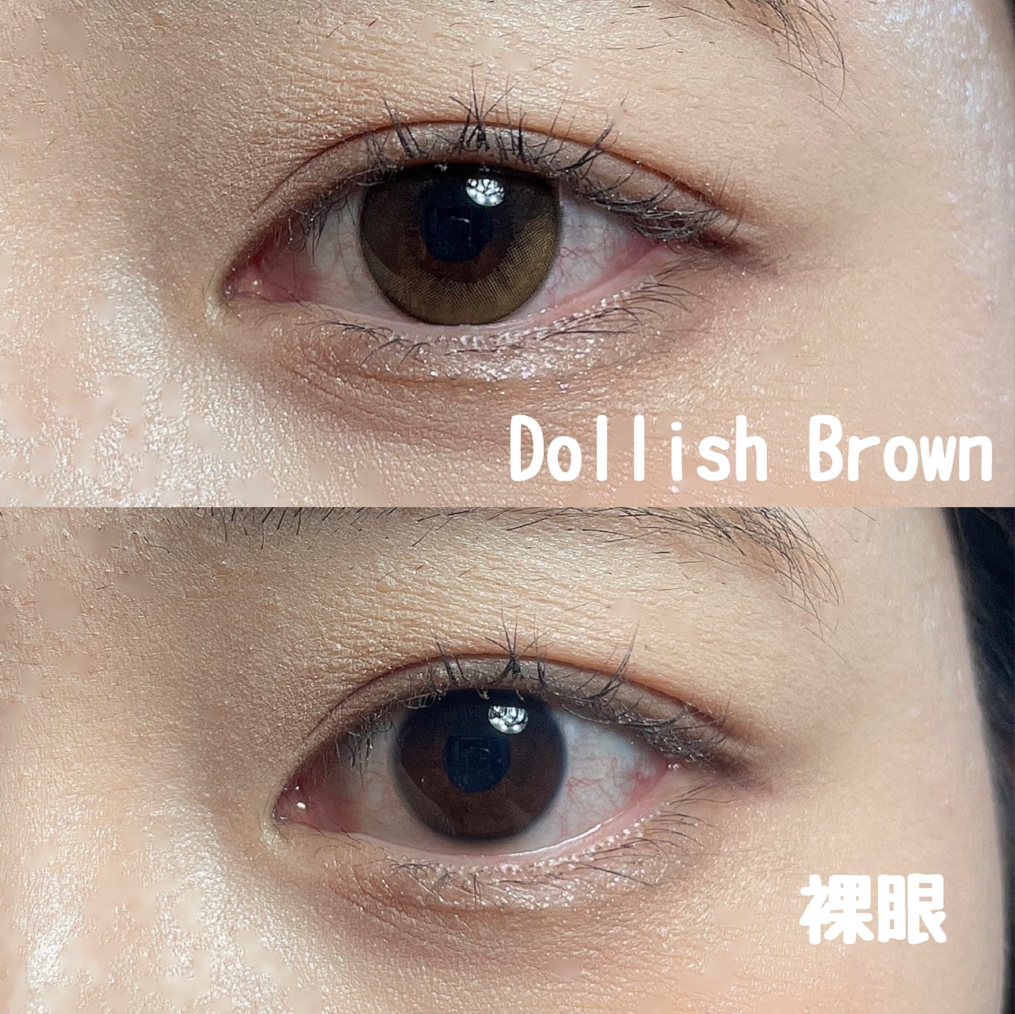 MOLAK 1day/MOLAK/ワンデー(1DAY)カラコンを使ったクチコミ(2枚目)