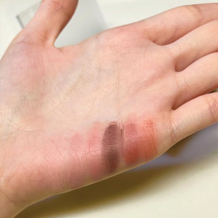 ブラーフィニシュシャドウパレット/Dinto/アイシャドウパレットを使ったクチコミ(2枚目)