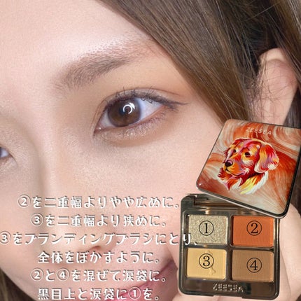 アニマルアイシャドウ(4シェード)/ZEESEA/アイシャドウパレットを使ったクチコミ(6枚目)