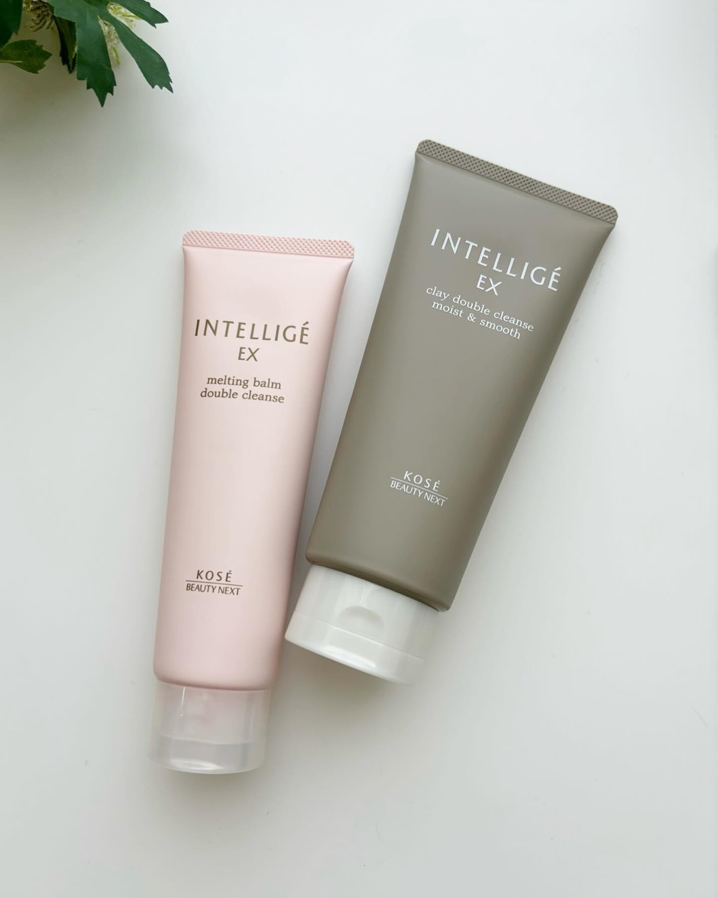 クレイ W クレンズ / アンテリージェEXの口コミ | おすすめ順