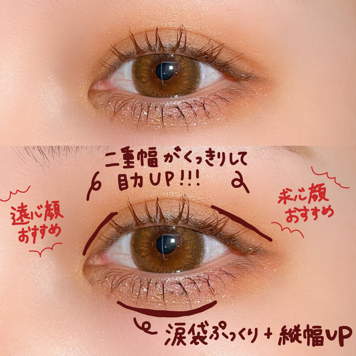 テディ ベア アイシャドウ パレット/Too Faced/アイシャドウパレットを使ったクチコミ（3枚目）