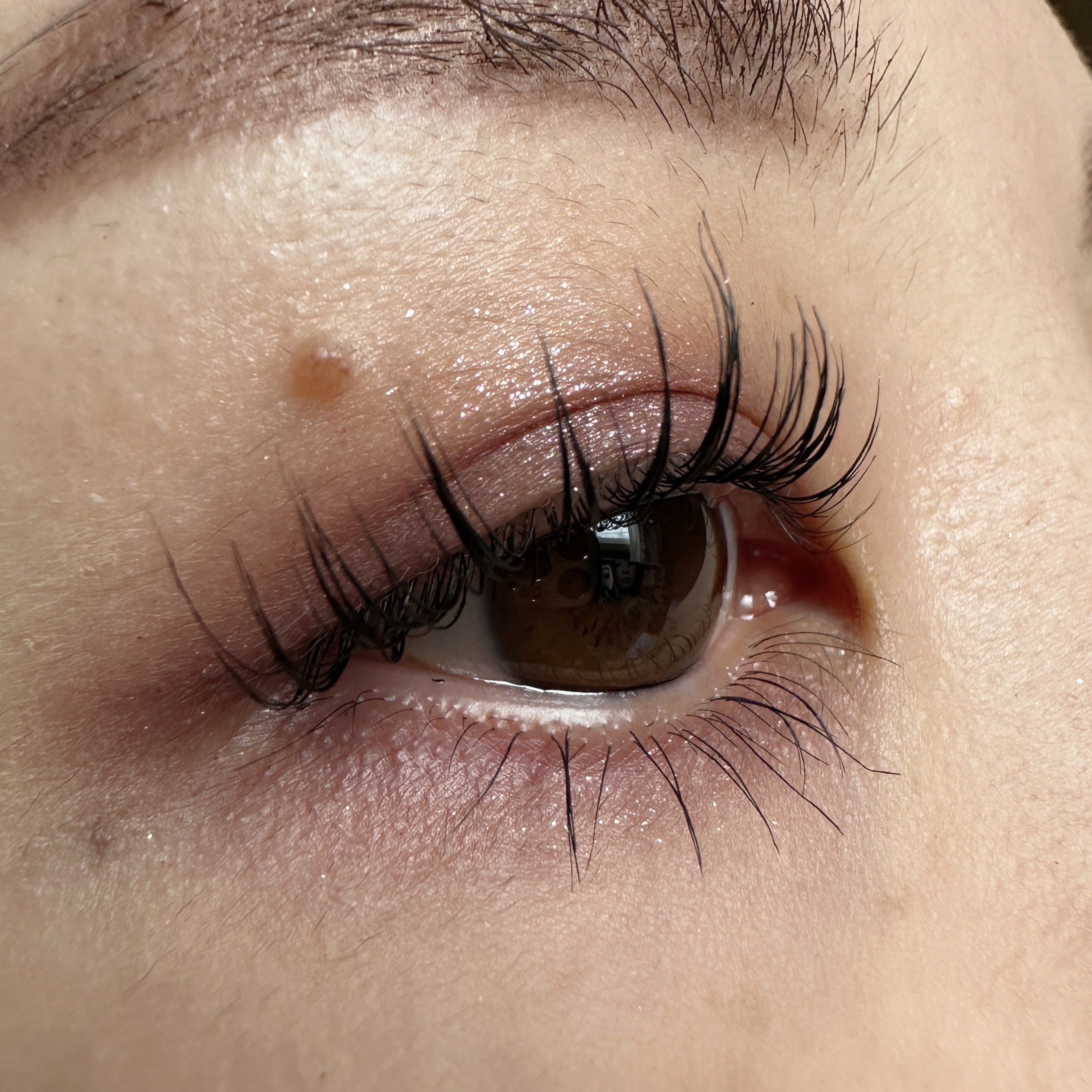 パーフェクトエクステンション マスカラ/D-UP/マスカラを使ったクチコミ（2枚目）