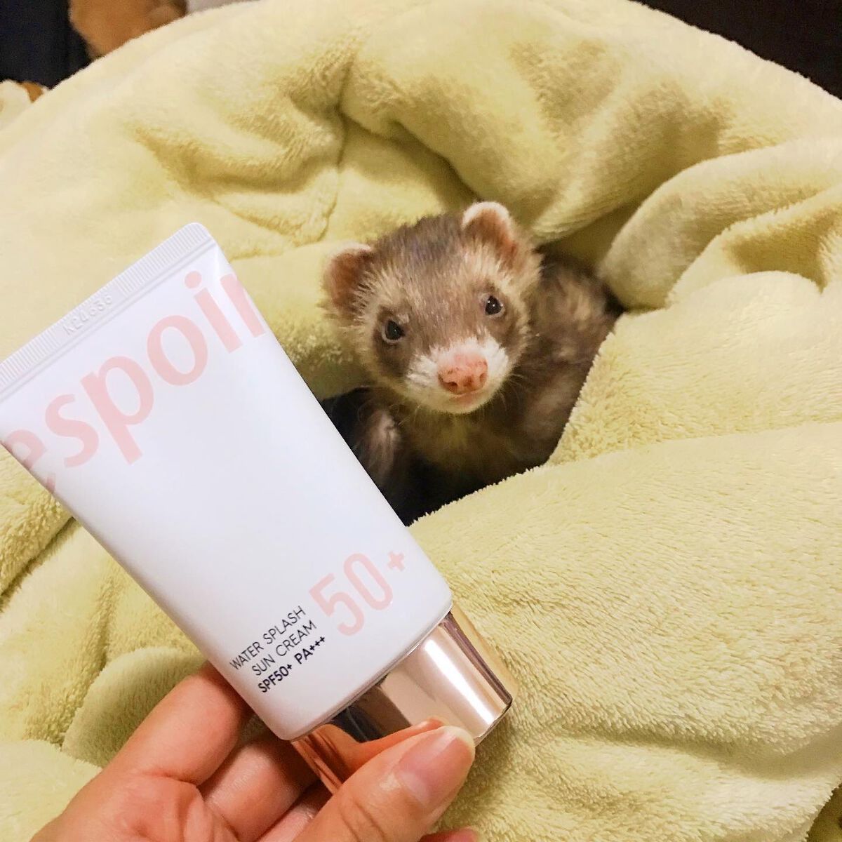 ウォータースプラッシュサンクリーム/espoir/日焼け止め・UVケアを使ったクチコミ（1枚目）