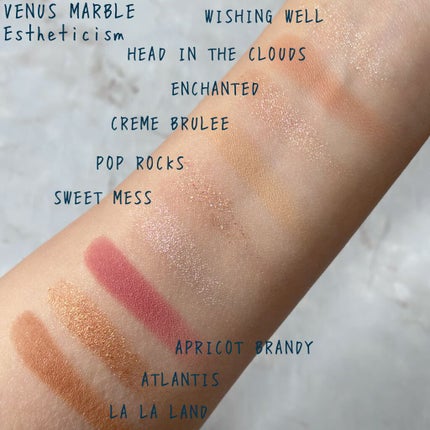 VenusMarble 9色アイシャドウパレット/Venus Marble/アイシャドウパレットを使ったクチコミ(6枚目)