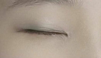 アイ カラー(チップ付)/ちふれ/アイシャドウパレットを使ったクチコミ(1枚目)