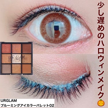 UR GLAM　BLOOMING EYE COLOR PALETTE/U R GLAM/アイシャドウパレットを使ったクチコミ（1枚目）