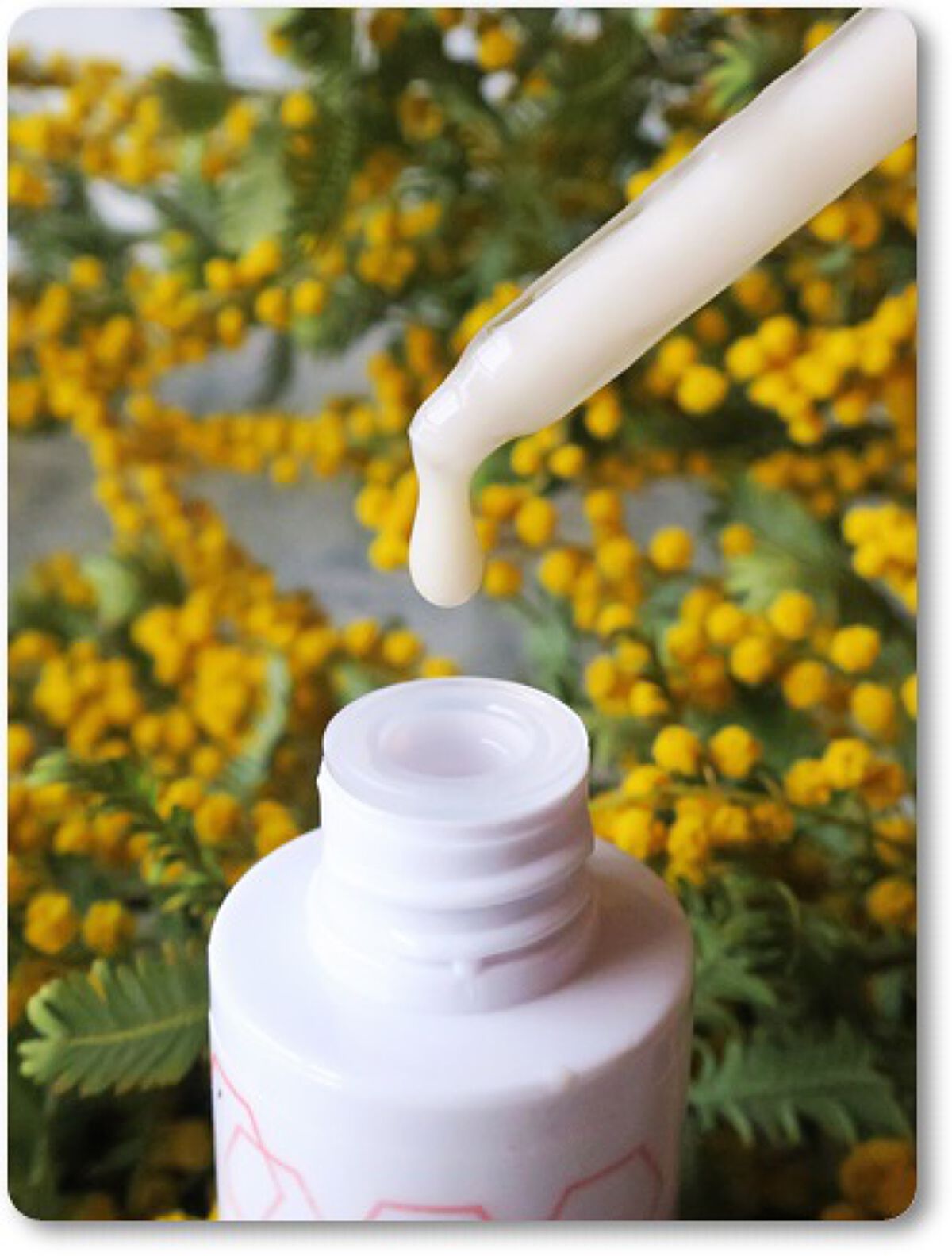 最旬ダウン最旬ダウンモデーア セルプルーフ しっとり美肌3点セット