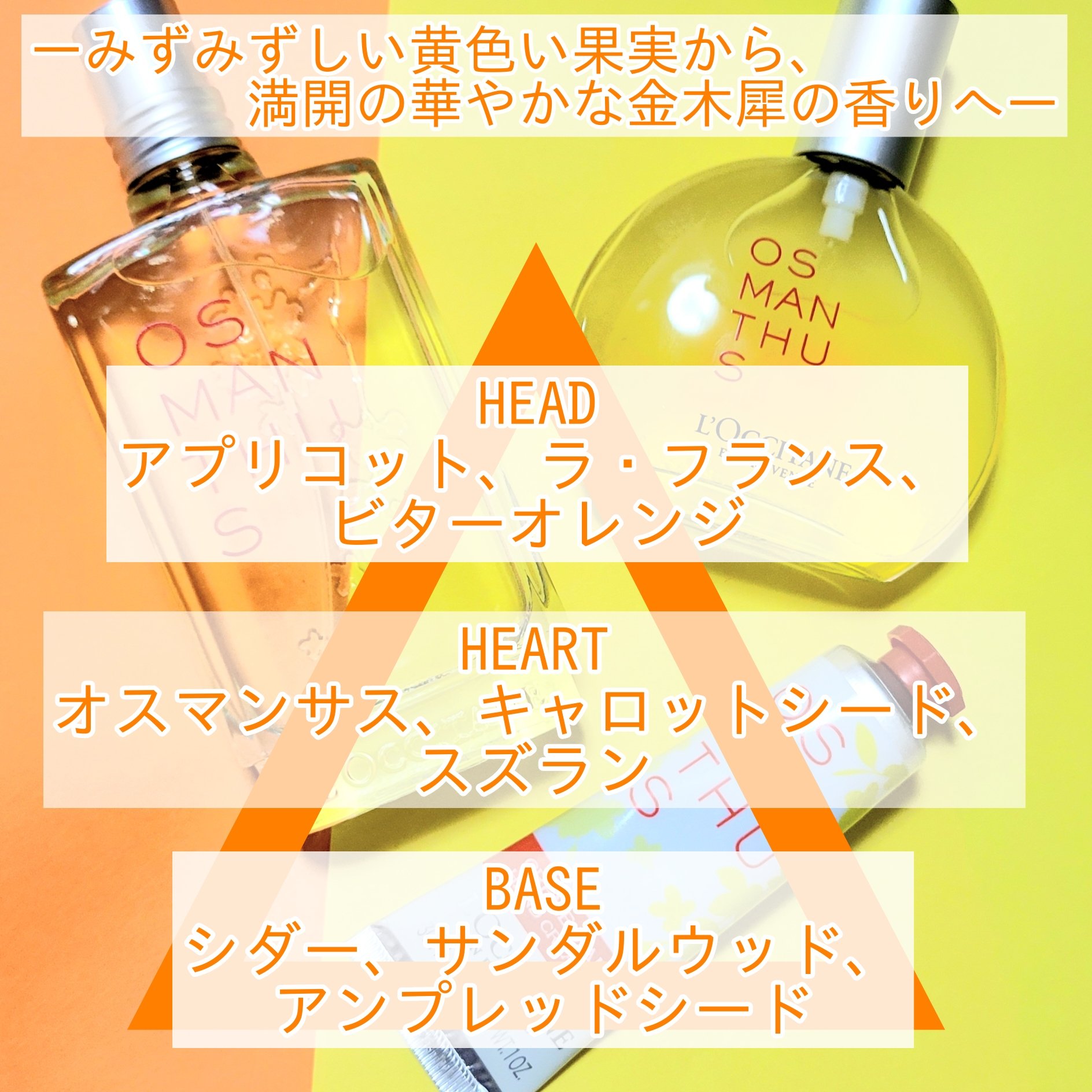 オスマンサス オードトワレ/L'OCCITANE/香水(レディース)を使ったクチコミ（2枚目）