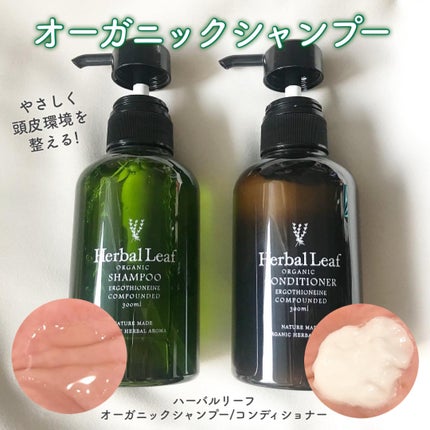 ã䜿ã£ãã¯ãã³ãïŒ1æç®ïŒ