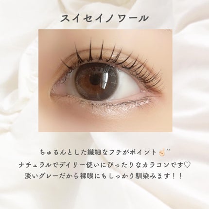 TETRITON/TETRITON/ワンデー(1DAY)カラコンを使ったクチコミ(4枚目)