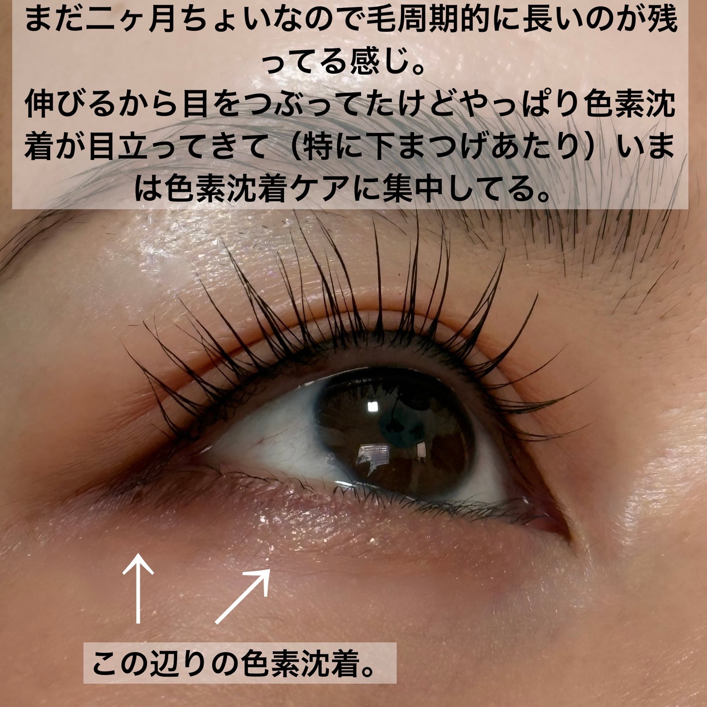 EMAKED(エマーキット)/水橋保寿堂製薬/まつげ美容液を使ったクチコミ(2枚目)