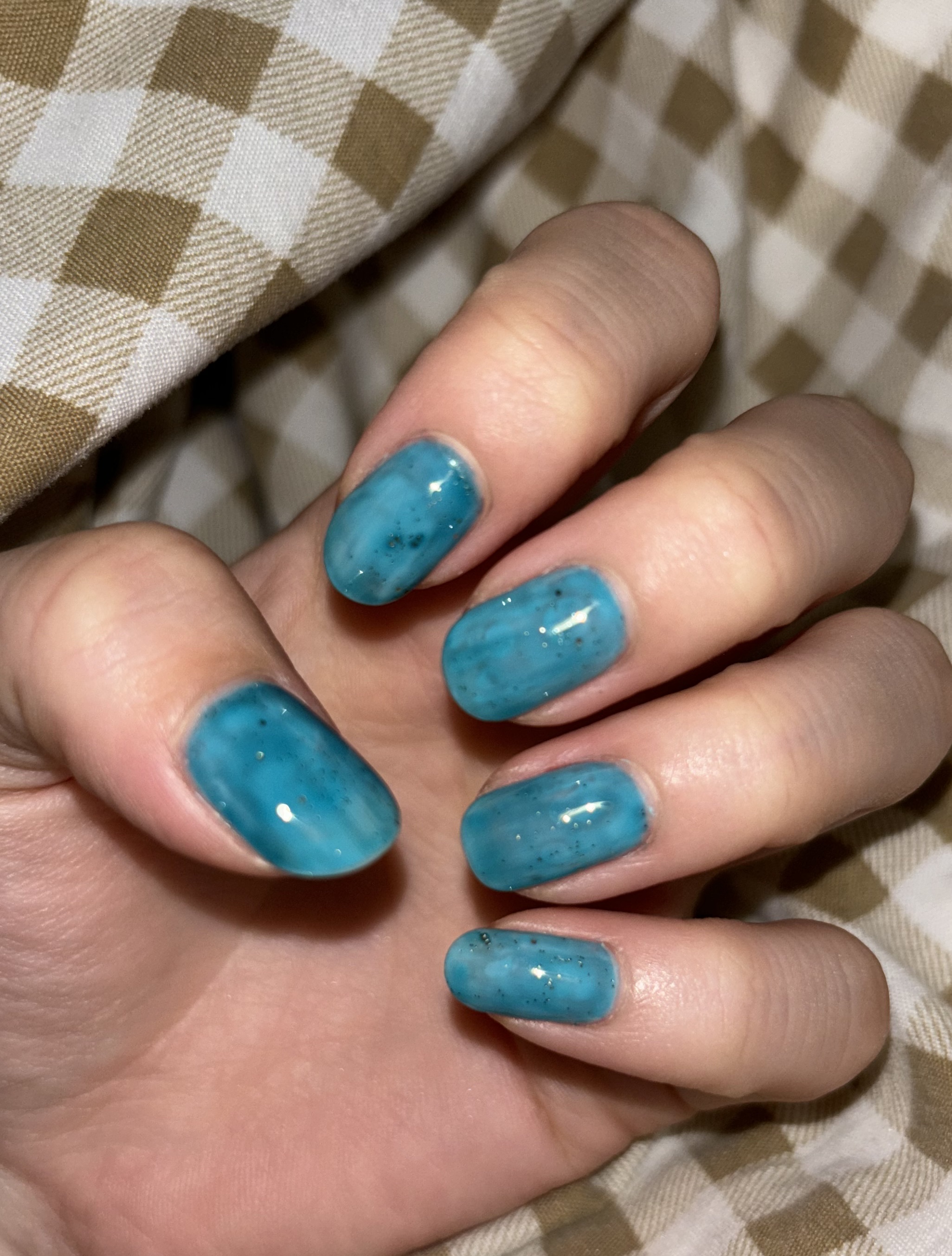 パル カラージェル/キャンドゥ/ジェルネイルを使ったクチコミ（2枚目）