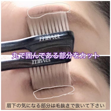 アイブロウシザーズ/SHISEIDO/その他化粧小物の画像