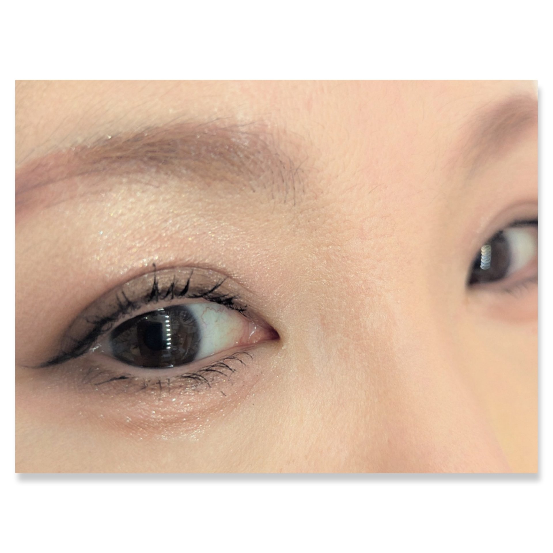 ショコラスウィート アイズ/リンメル ロンドン/アイシャドウパレットを使ったクチコミ（2枚目）