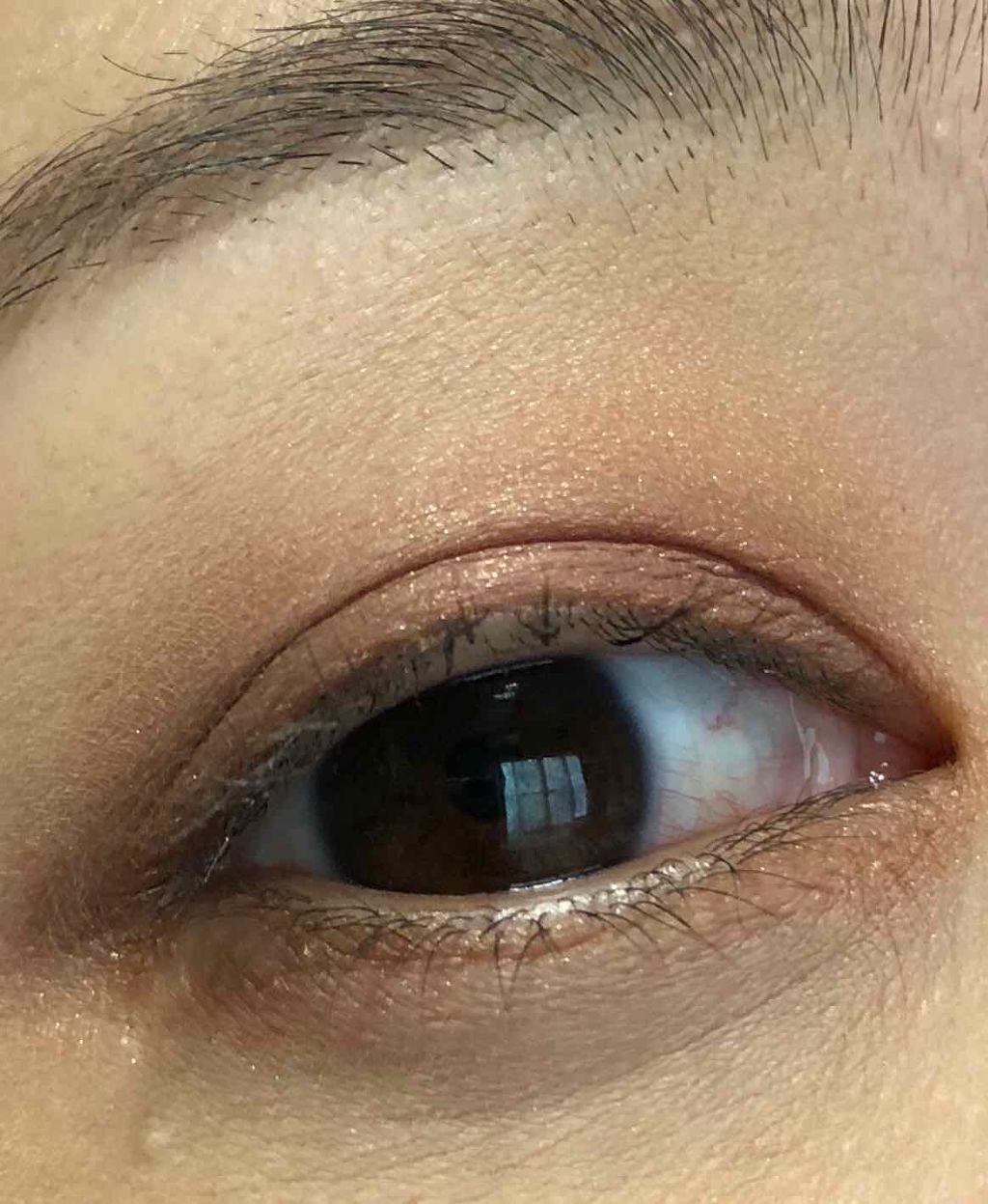 メルティングカラーアイズ/LUNASOL/アイシャドウパレットを使ったクチコミ(3枚目)