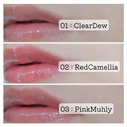 ナチュラルブルームリップオイルセラム 3色セット/PINATE/リップグロスを使ったクチコミ(7枚目)