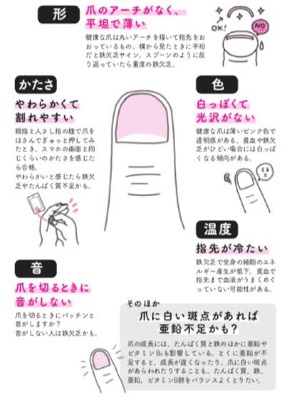 鉄・葉酸 60粒/Dear-Natura (ディアナチュラ)/健康サプリメントを使ったクチコミ（2枚目）