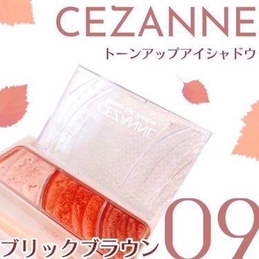 「温かみのある目元メイクはCEZANNEのこのアイテムでOK✨️」

▫️CEZANNE▫️

トーンアップアイシャドウ 09
ブリックブラウン

✂ーーーーーーーーーーーーーーーーーーーー

CEZA