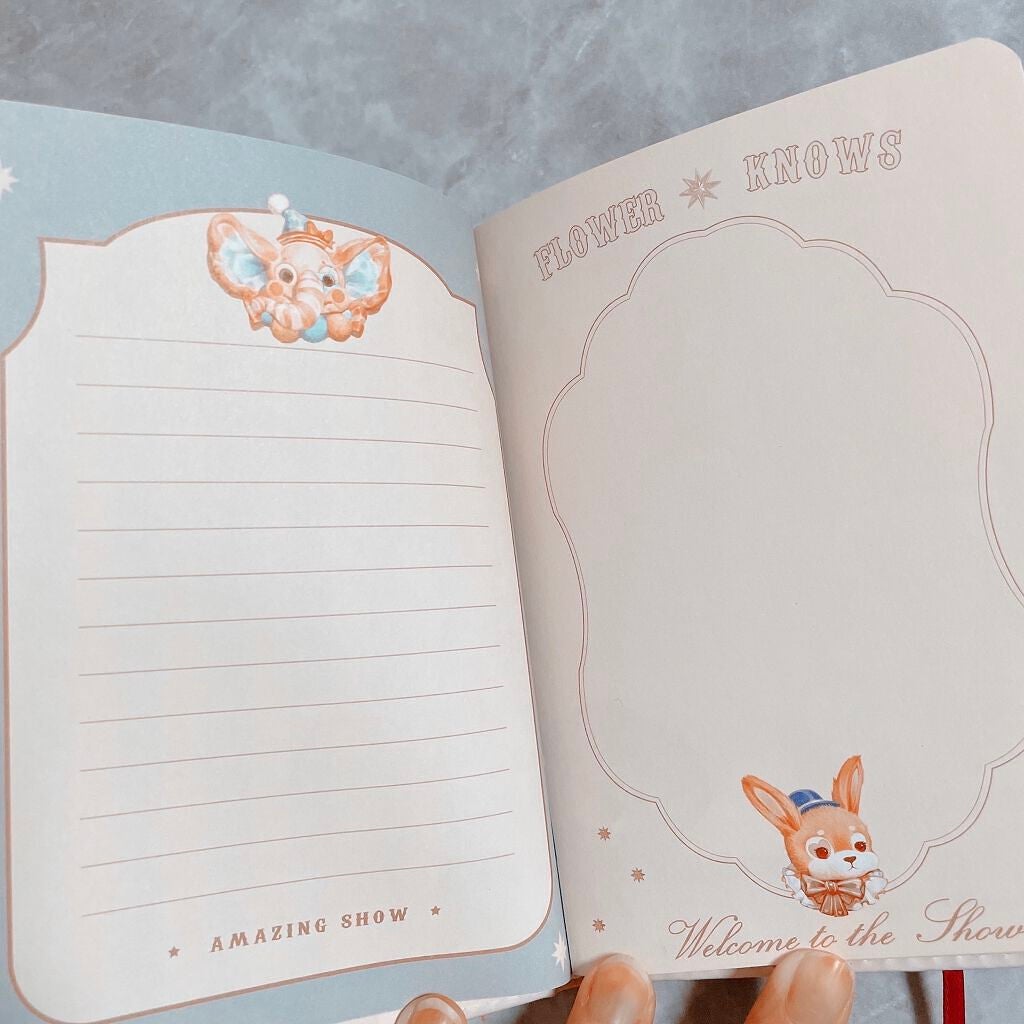 サーカスシリーズ グラデーションブラッシュ /FlowerKnows/パウダーチークを使ったクチコミ(5枚目)