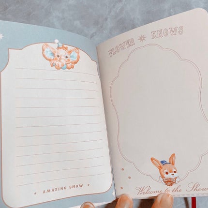 サーカスシリーズ グラデーションブラッシュ /FlowerKnows/パウダーチークを使ったクチコミ(5枚目)