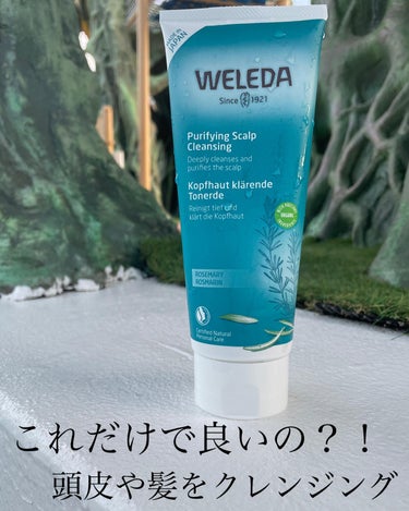 ＼希望のお手入れは簡単に／

#オーガニック 🌿で安心…♡

@weleda_japan 
ローズマリースカルプ
クレンジングがお気に入り🍃

子供達とのプールにも持って行った❣️

だって…これ１つで