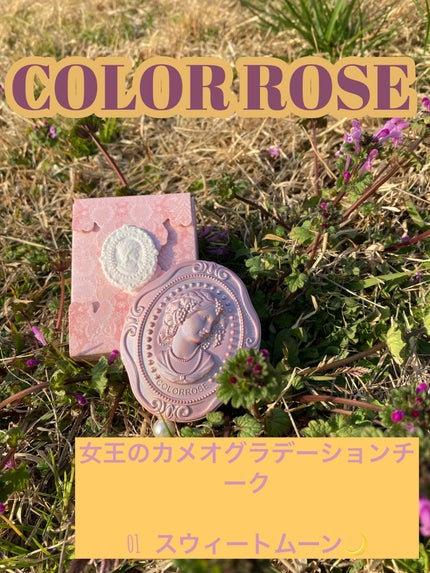 女王のカメオグラデーションチーク 01 スウィートムーン/COLORROSE/パウダーチークを使ったクチコミ(2枚目)