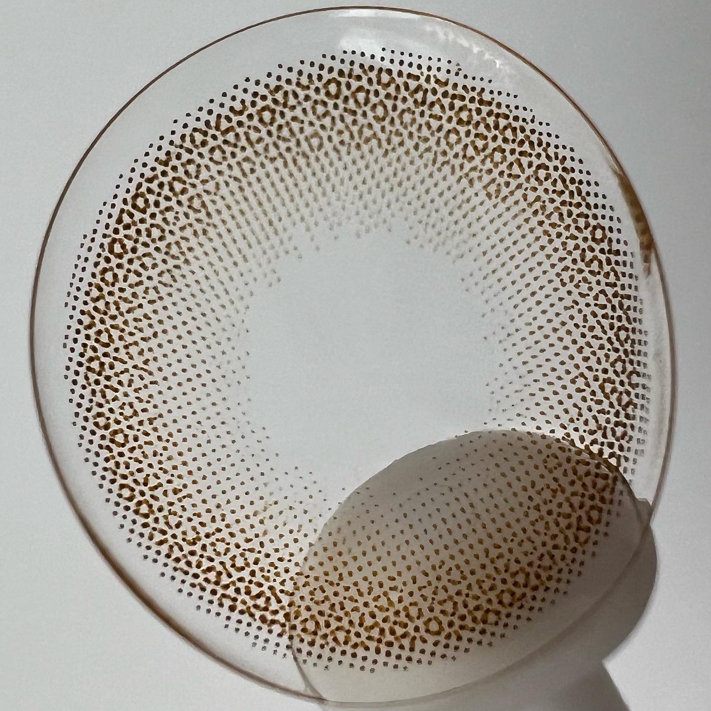 TOPARDS 1day/TOPARDS/ワンデー(1DAY)カラコンを使ったクチコミ(5枚目)