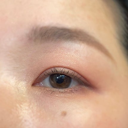 クチュール カラー クラッチ コレクター/YVES SAINT LAURENT BEAUTE/アイシャドウパレットを使ったクチコミ(5枚目)