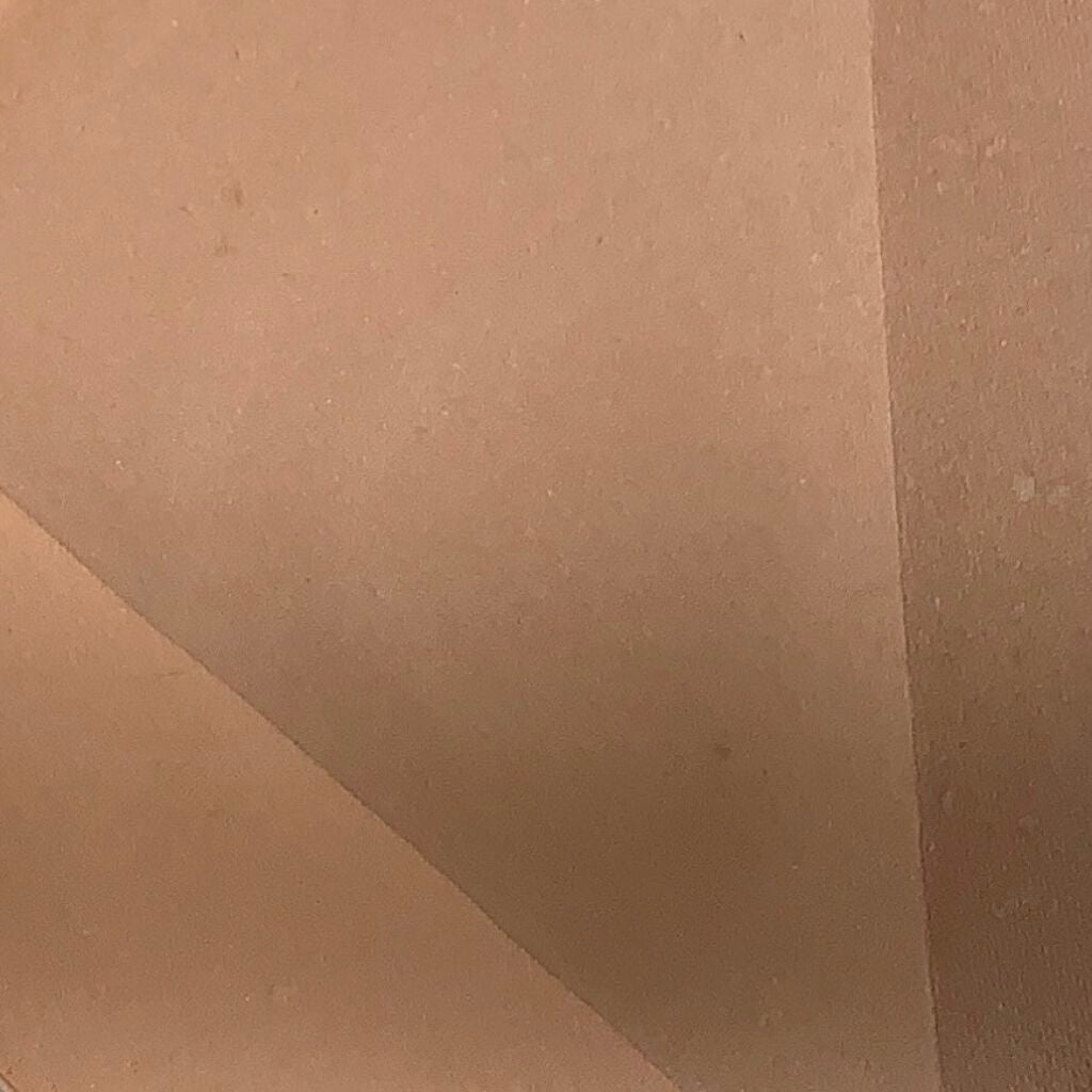 インクブイシェーディング/PERIPERA/シェーディングを使ったクチコミ(2枚目)