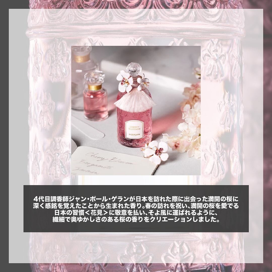 チェリーブロッサム オードトワレ/L'OCCITANE/香水(レディース)を使ったクチコミ(2枚目)