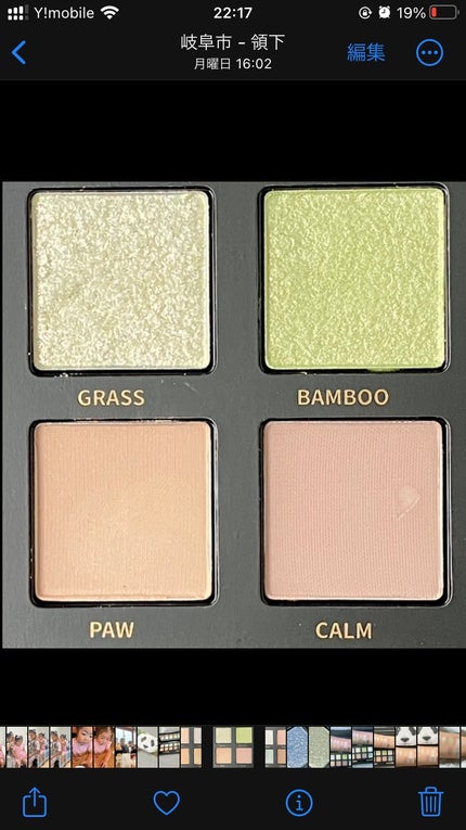 エクスプローラ12色 動物アイシャドウパレット/PERFECT DIARY/アイシャドウパレットを使ったクチコミ(4枚目)