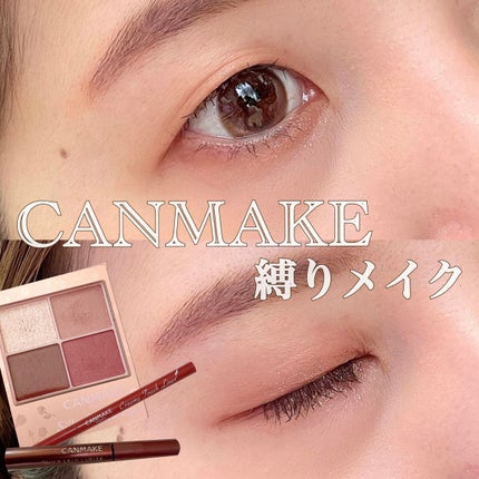 シルキースフレアイズ(マットタイプ)/キャンメイク/アイシャドウパレットを使ったクチコミ(1枚目)