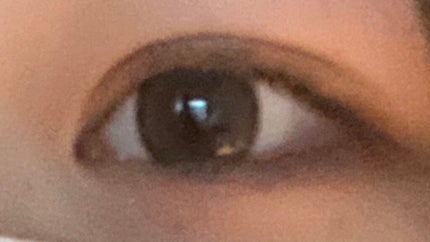 エバーカラーワンデー ナチュラル/エバーカラー/ワンデー(1DAY)カラコンを使ったクチコミ(2枚目)