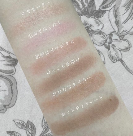 ムジークタイガープレイカラーアイズ/ETUDE/アイシャドウパレットを使ったクチコミ(9枚目)