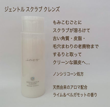 ジェントル スクラブ クレンズ/ines/市販シャンプーを使ったクチコミ(2枚目)