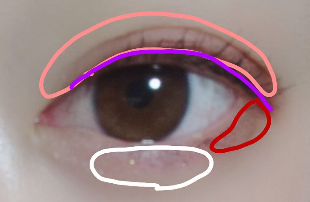 スキニーリッチシャドウ/excel/アイシャドウパレットを使ったクチコミ（2枚目）