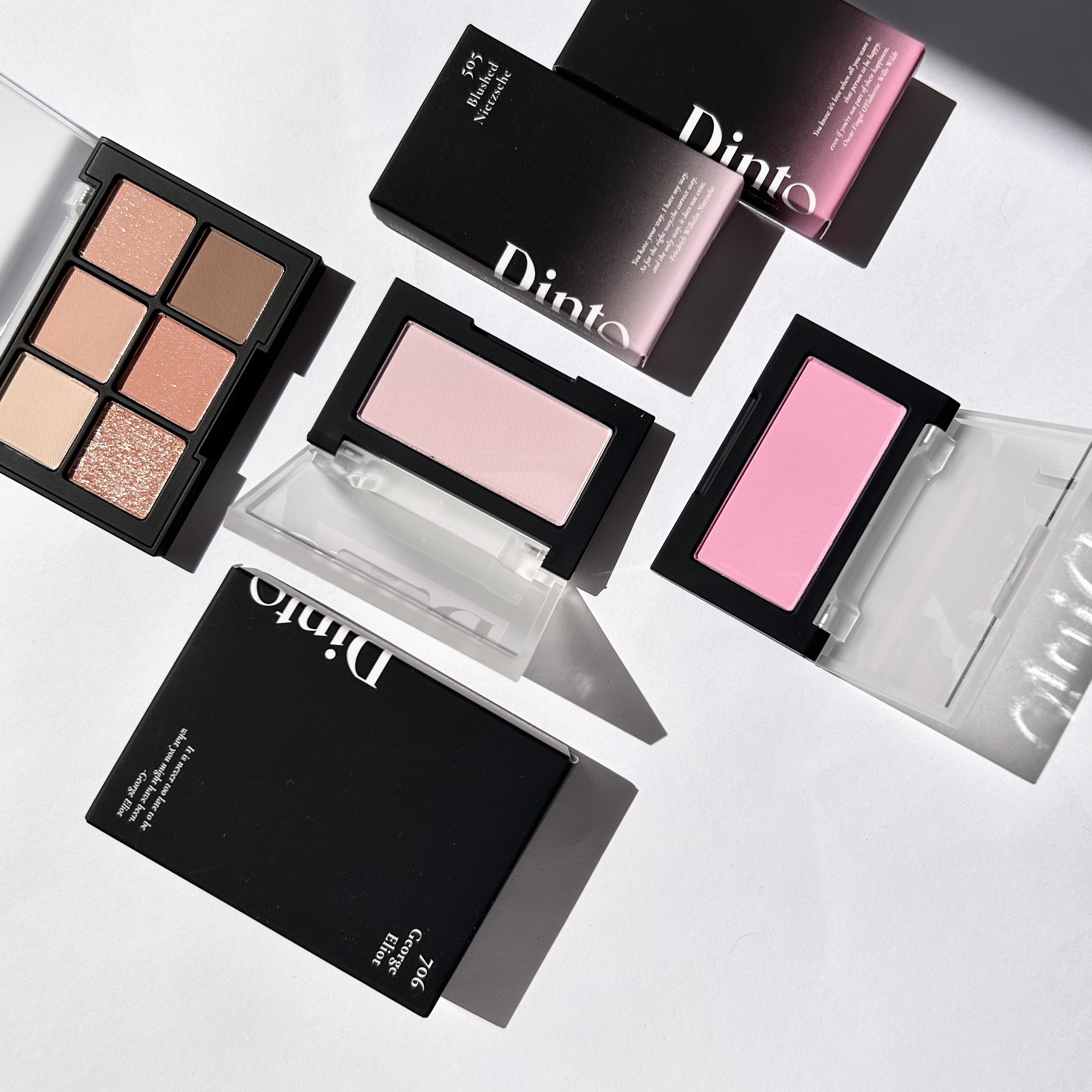 ブラーフィニシュシャドウパレット/Dinto/アイシャドウパレットを使ったクチコミ（1枚目）