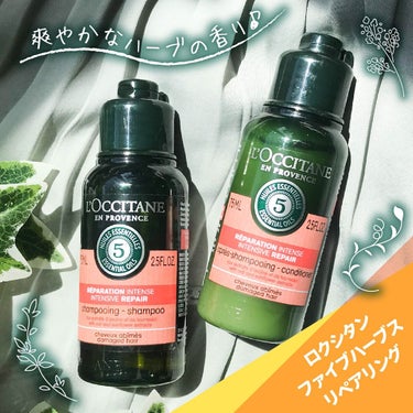 ファイブハーブスリペアリングシャンプー／コンディショナー/L'OCCITANE/シャンプー・コンディショナーを使ったクチコミ（1枚目）