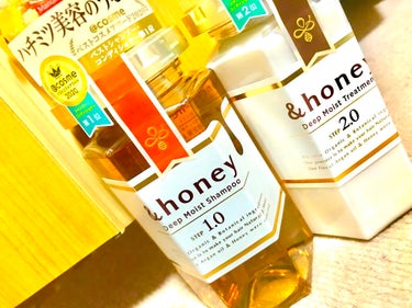 ディープモイスト シャンプー1.0／ヘアトリートメント2.0/&honey/シャンプー・コンディショナーを使ったクチコミ（1枚目）