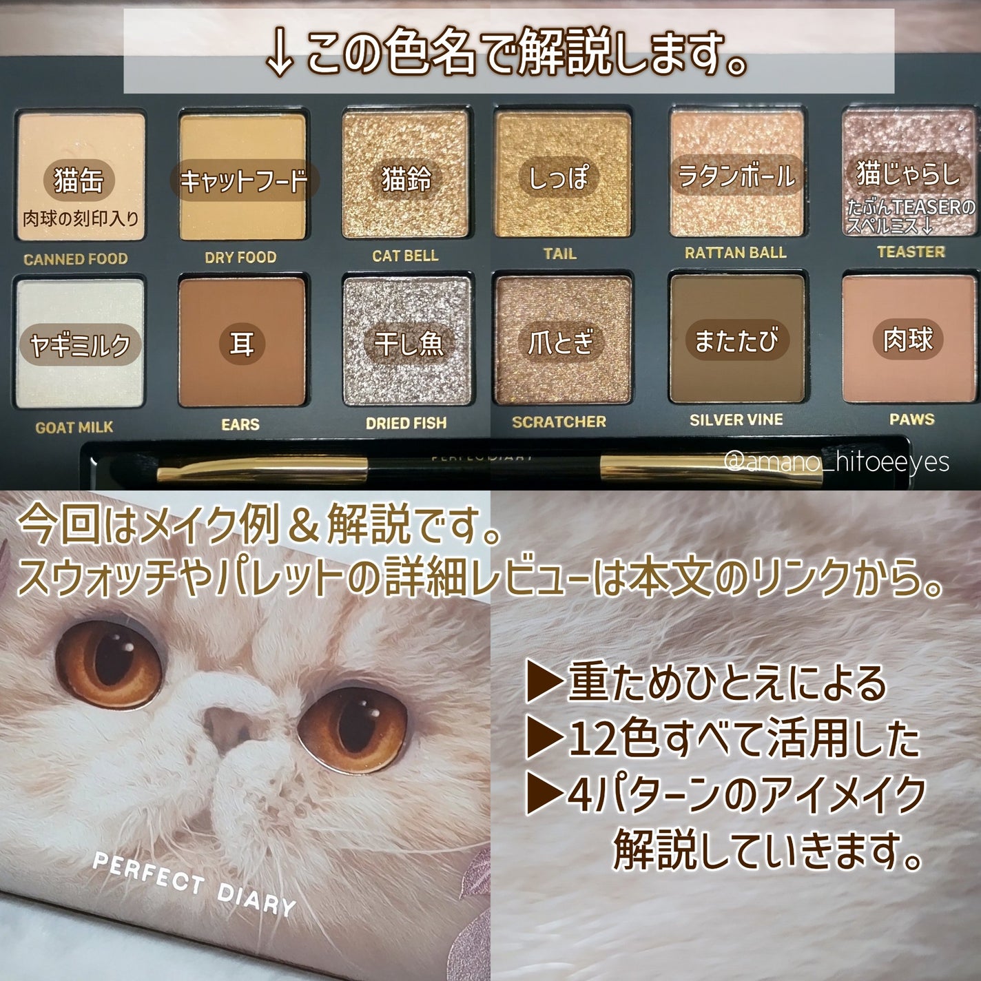 エクスプローラ12色 動物アイシャドウパレット/PERFECT DIARY/アイシャドウパレットを使ったクチコミ(2枚目)