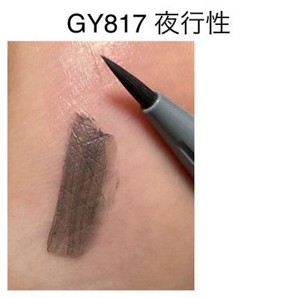 ラインエキスパンダー /MAJOLICA MAJORCA/リキッドアイライナーを使ったクチコミ(8枚目)