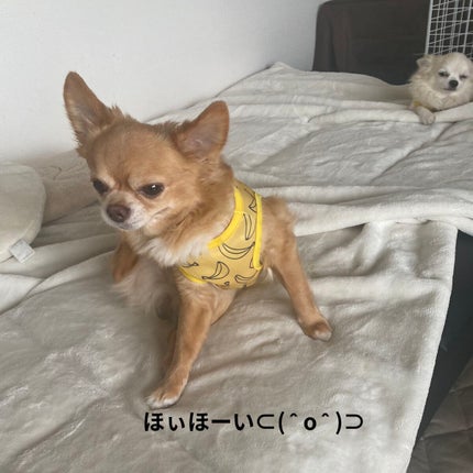 ローズ・パーフェクト・リキッド/GIVENCHY/口紅を使ったクチコミ(7枚目)